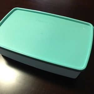 Freeze- It food storage